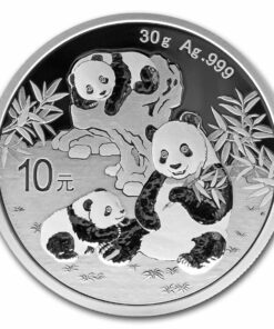 2025 China 30 gram Silver Panda BU (In Capsule)