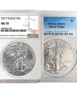 1 oz American Silver Eagle MS70 (Random Year, Varied Label, PCGS/NGC/CAC)